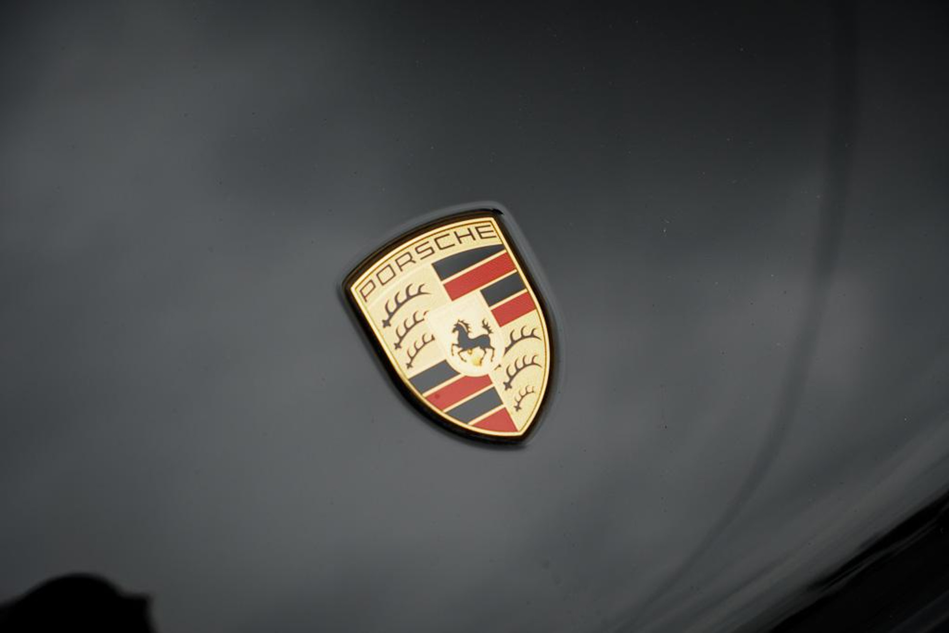 48485019-28.jpg
