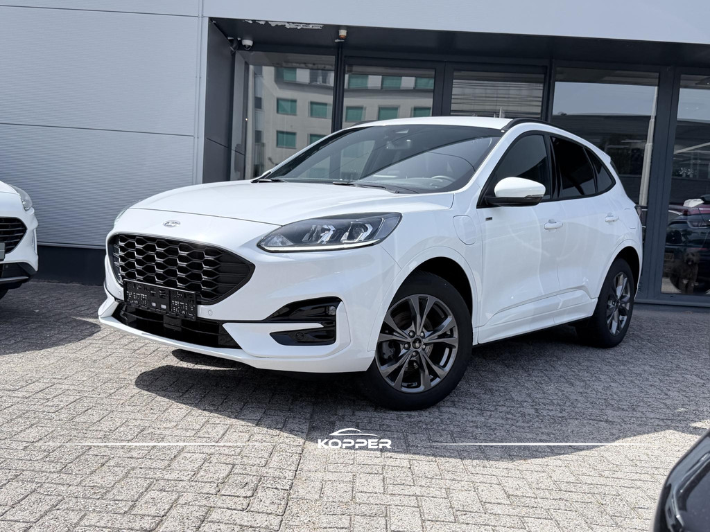 53663467