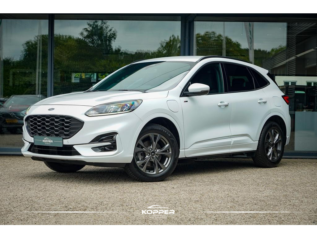 54596028